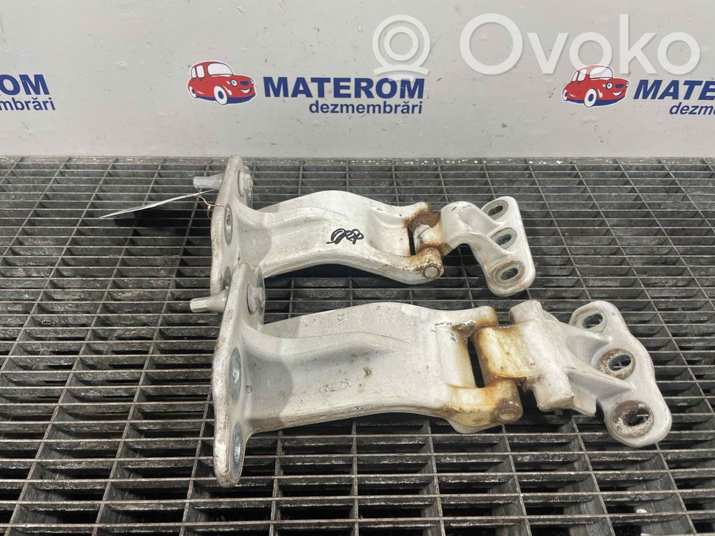 Ford Transit Custom Vyris (-iai) galinio dangčio 
