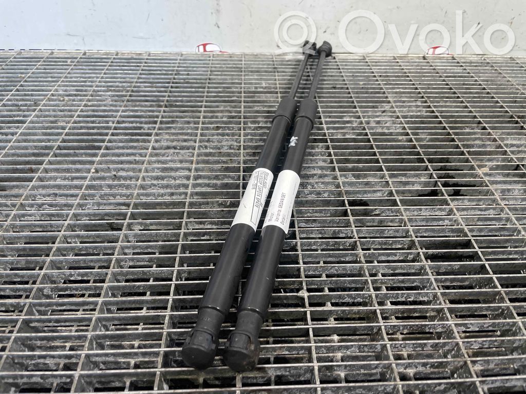 Audi A5 8T 8F Ammortizzatore portellone posteriore/bagagliaio 