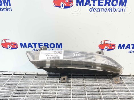 Skoda Octavia Mk2 (1Z) Indicatore di direzione anteriore 
