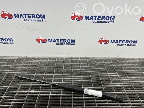 Hyundai Santa Fe Ammortizzatore portellone posteriore/bagagliaio