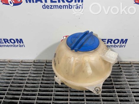 Volkswagen Polo V 6R Vas expansiune/rezervor lichid de răcire 