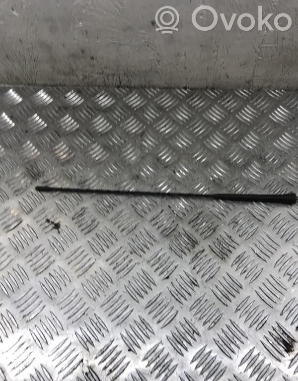 Antenna autoradio