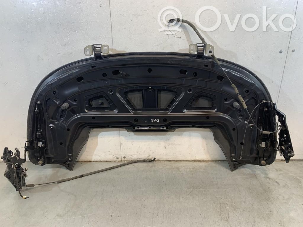 BMW 1 E82 E88 Stogo dangos/ skydai 