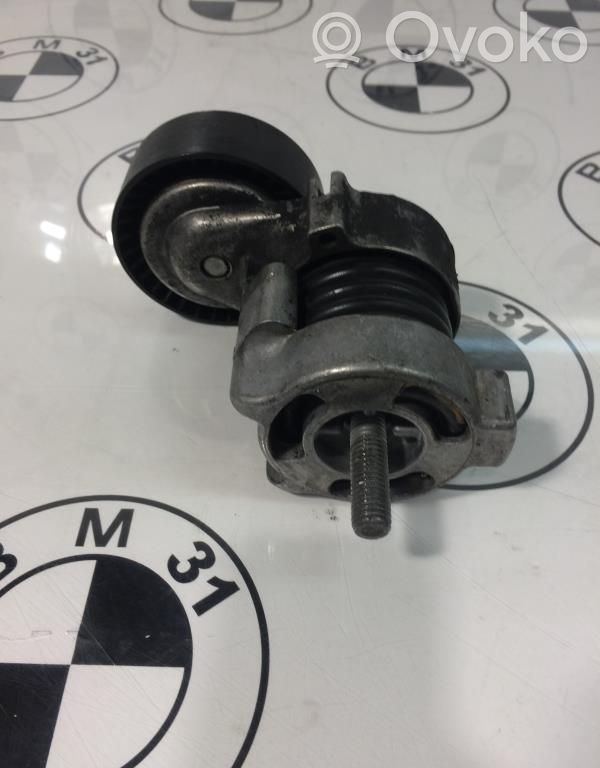 BMW 3 E46 Tensor de correa del alternador 