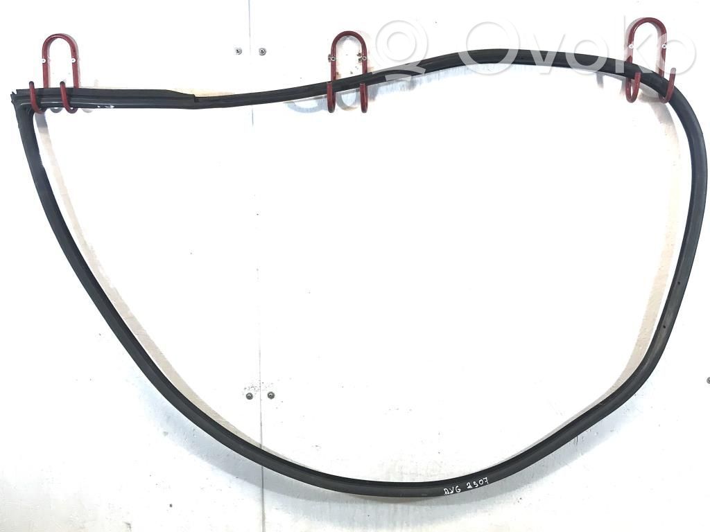 BMW 3 E92 E93 Etuoven kumitiiviste 