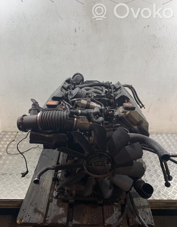 Termomufta   11527502804