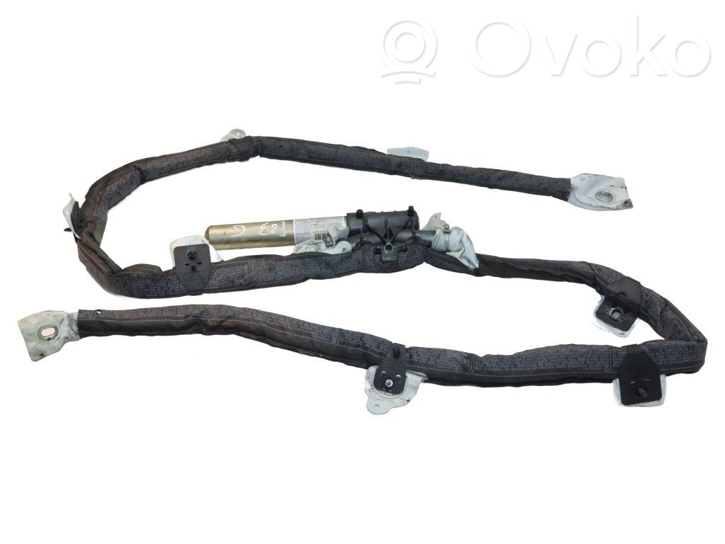 BMW X3 E83 Airbag del techo 