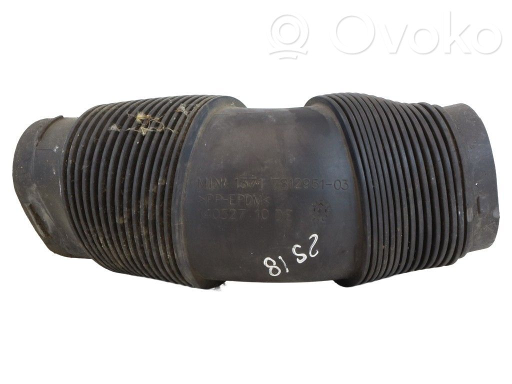 Mini Cooper Countryman R60 Conductă/furtun admisie aer 