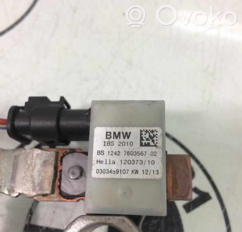 Mini Paceman (R61) Car battery 