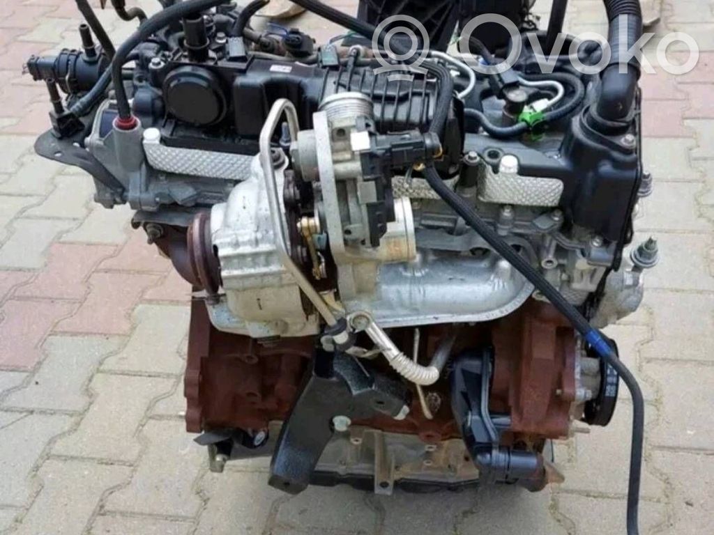 Austauschmotor   YLF6