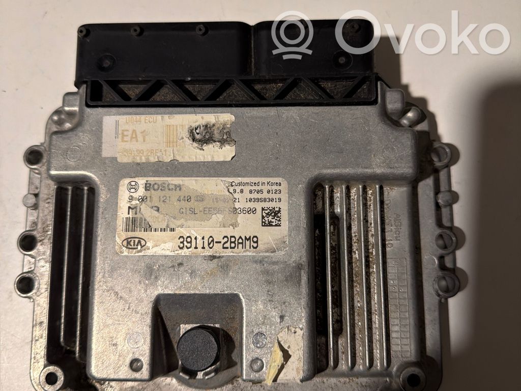 KIA Sportage Other control units/modules 