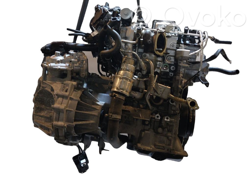 KIA Rio Motor 