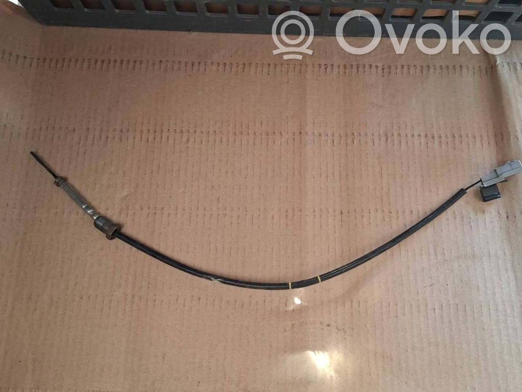 Renault Espace V (RFC) Exhaust gas temperature sensor 