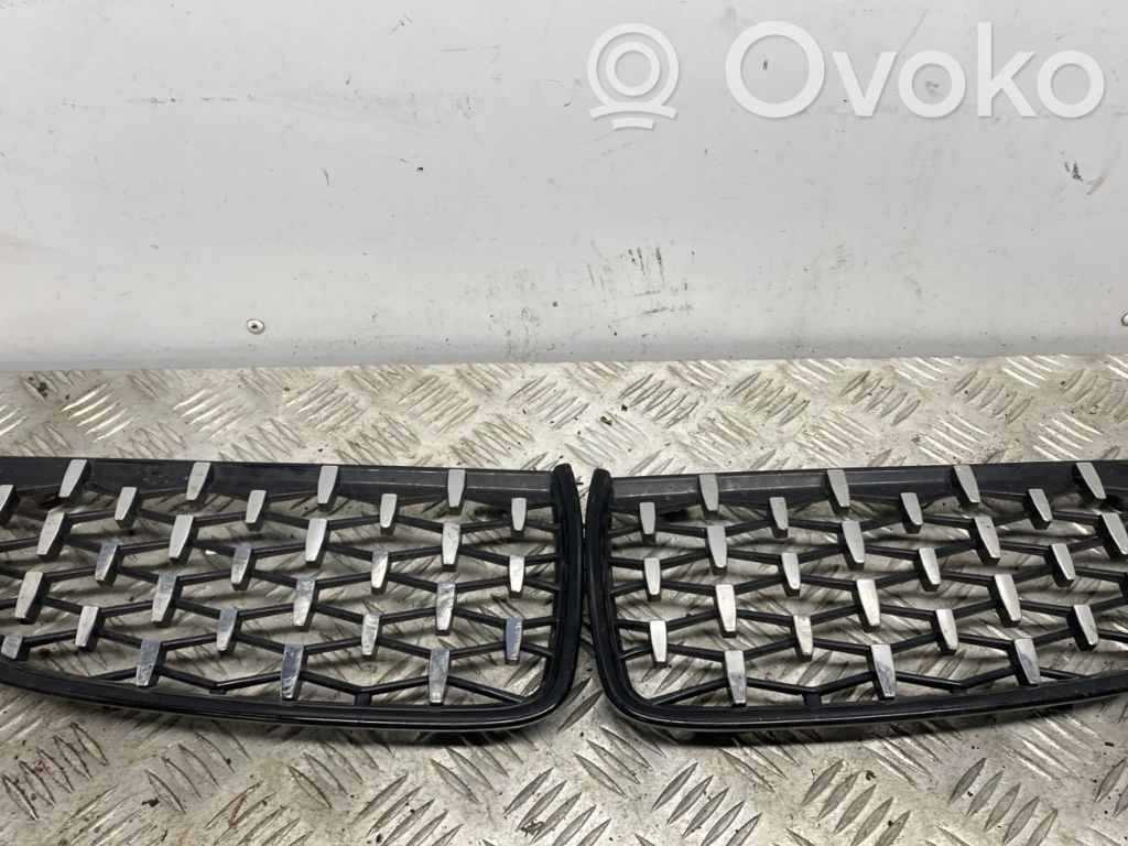 Front grill   51137120008