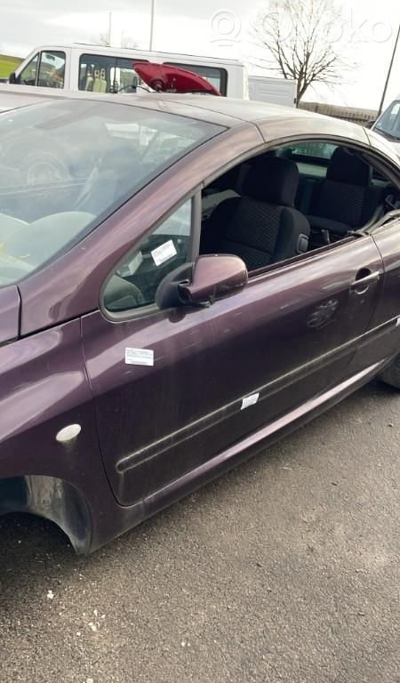 Peugeot 307 Puerta delantera 