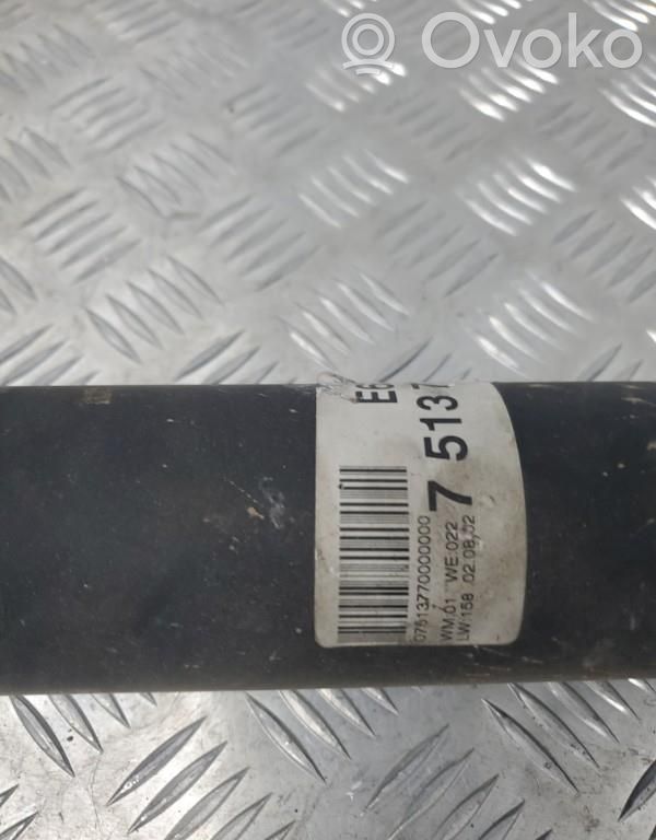 Drive shaft (set)
