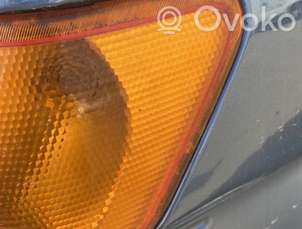 Front fender indicator light