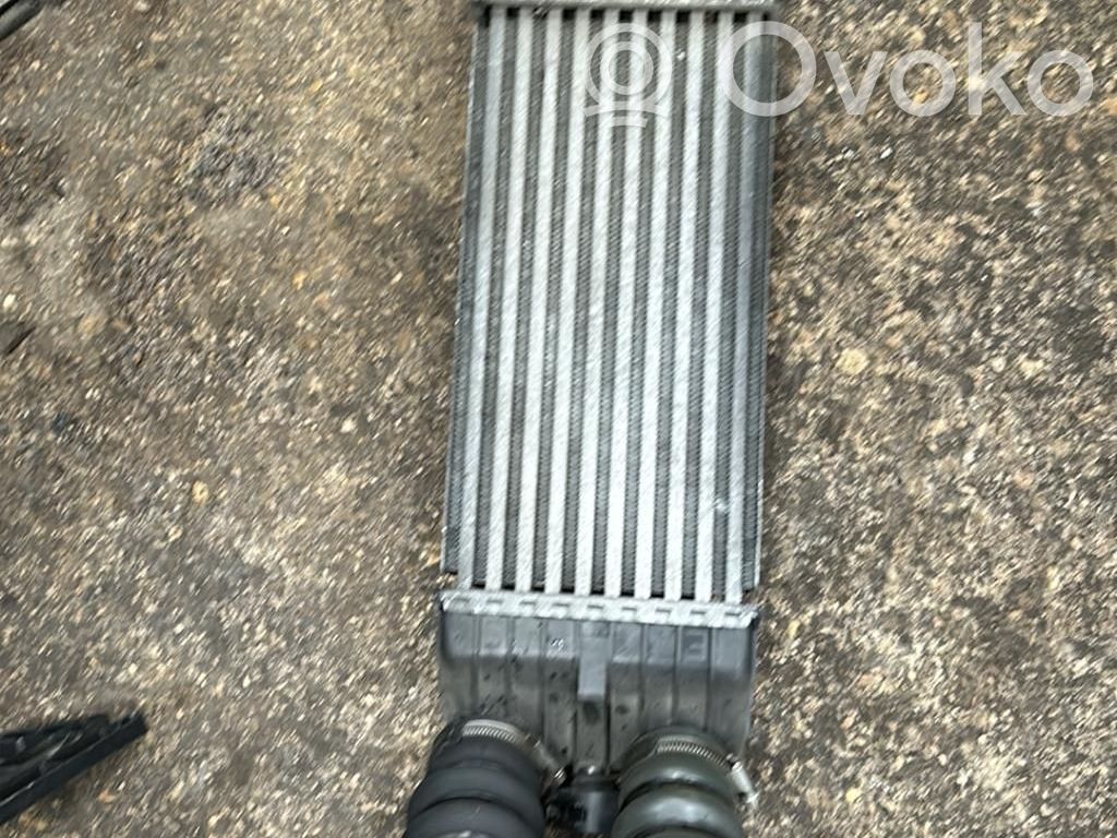 Peugeot 207 Intercooler radiator 