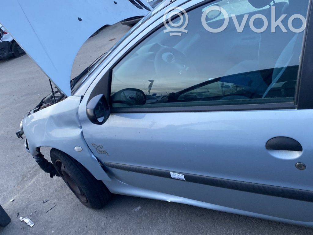 Peugeot 206 Durvis 