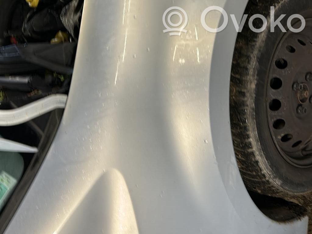 Guardabarro   631007942R