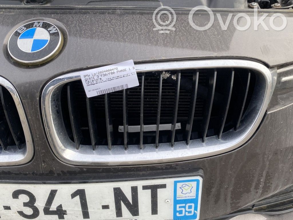 BMW 3 F30 F35 F31 Griglia anteriore 