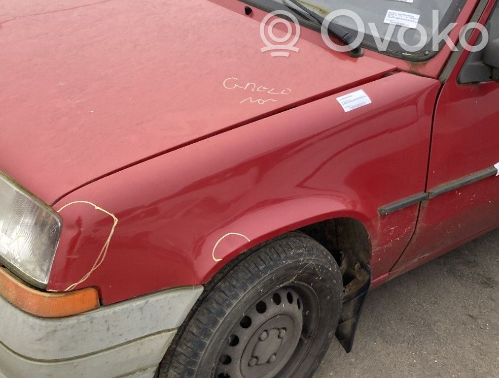 Renault Super R5 Lokasuoja 