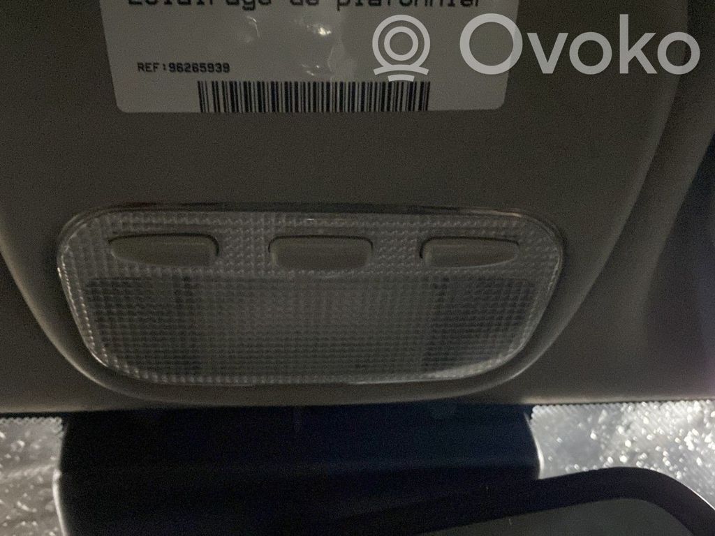 Peugeot 407 Illuminazione sedili anteriori