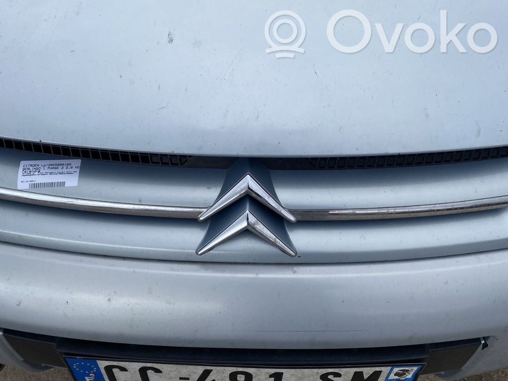 Front grill   00007804N2