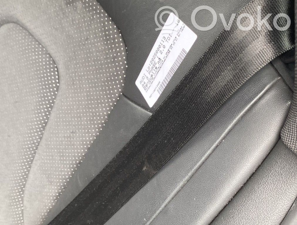 Centură spate   8K0857805RV04