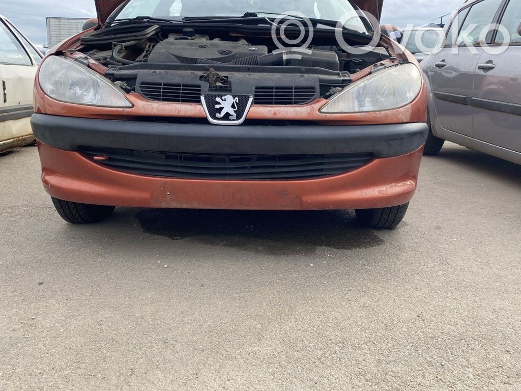 Peugeot 206 Paraurti anteriore 