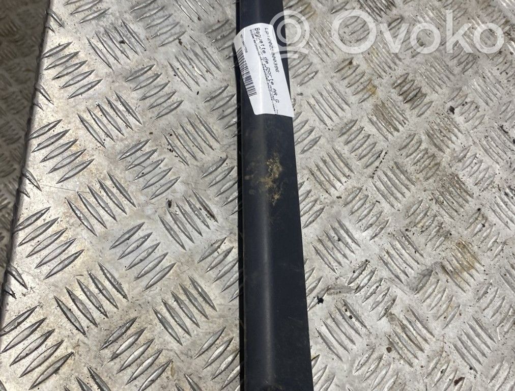 Renault Clio III Mască ușă spate (turnată) 