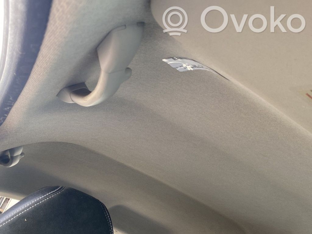 Peugeot 207 Headlining 