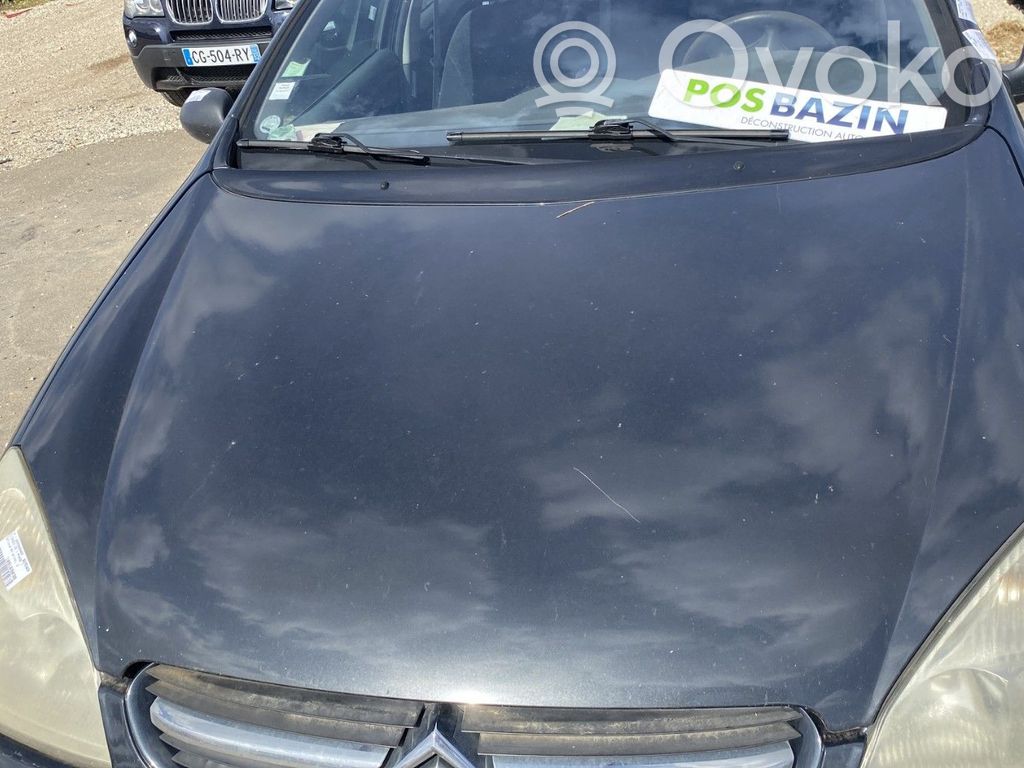 Motorhaube   00007901H9