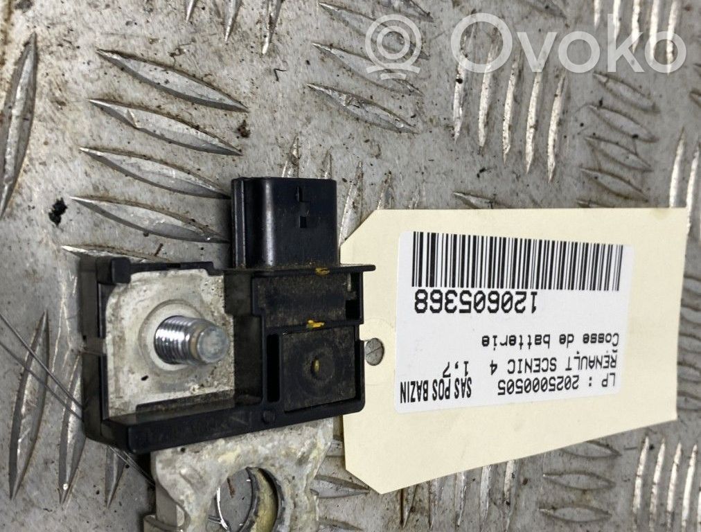 Renault Scenic IV - Grand scenic IV Cavo negativo messa a terra (batteria) 