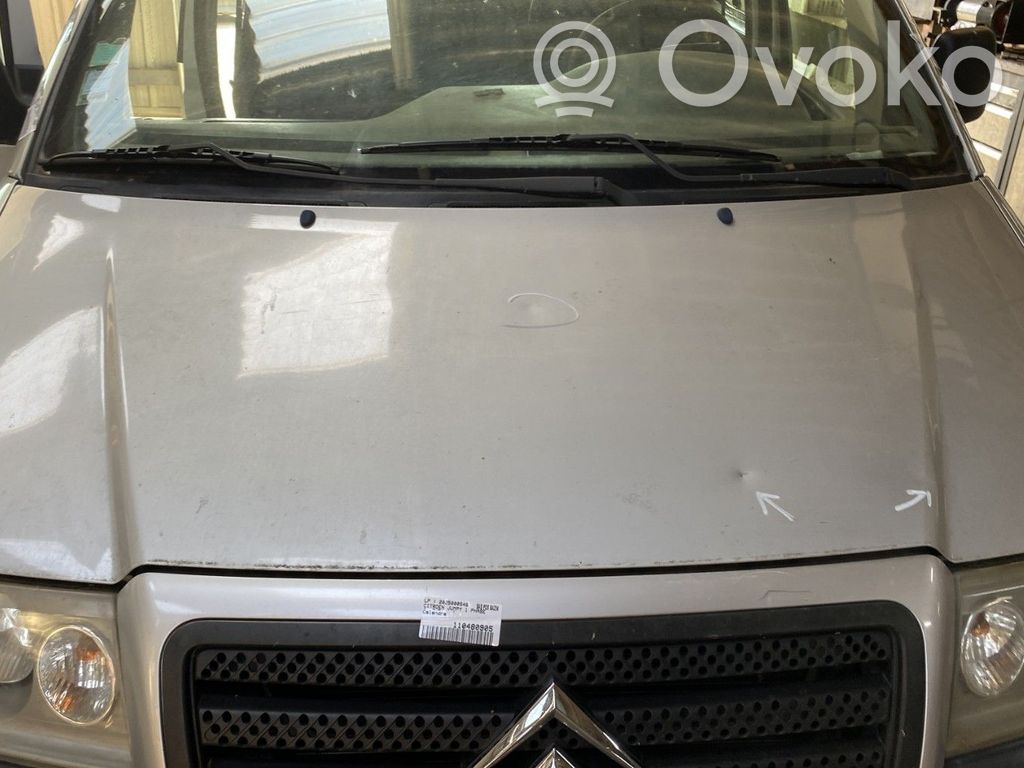 Engine bonnet/hood   00007901K8