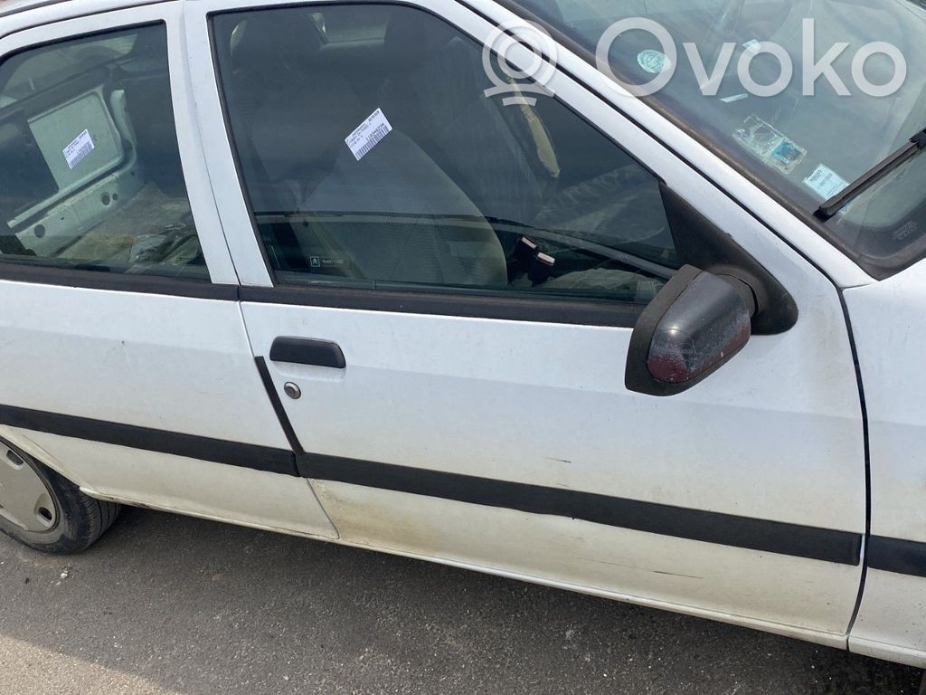 Citroen ZX Front door 
