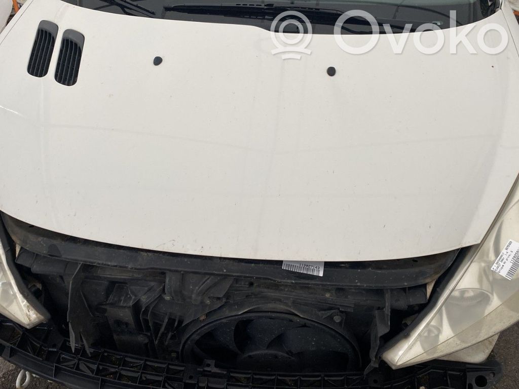 Motorhaube   7901R5