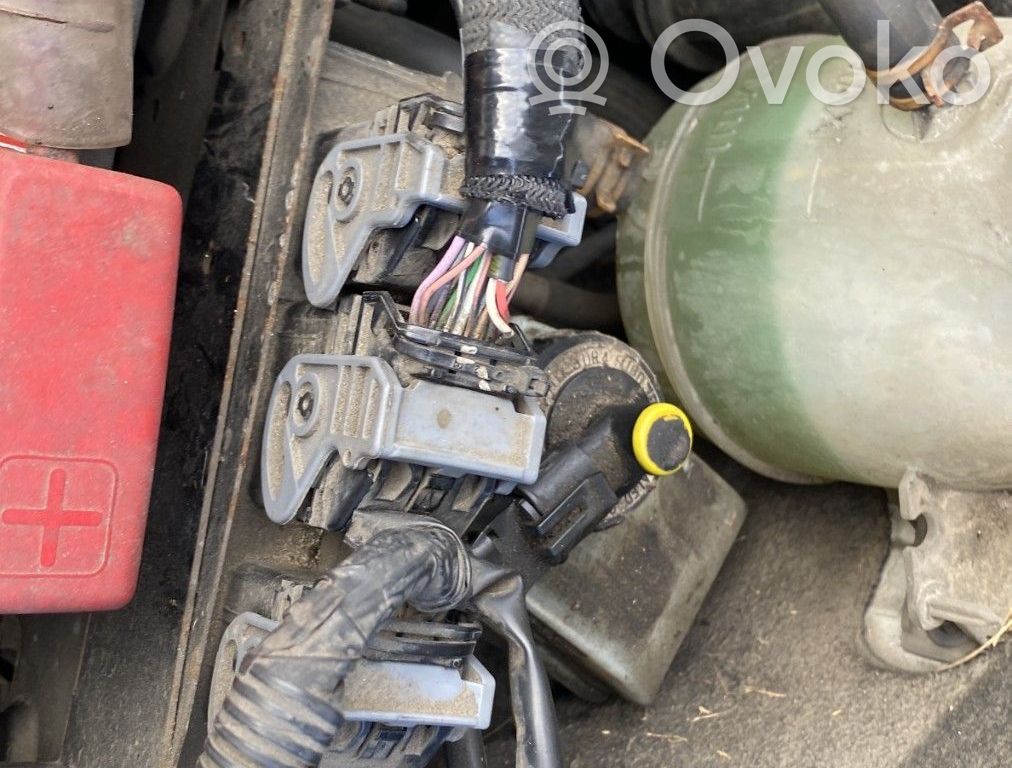 Renault Clio II Engine control unit/module 