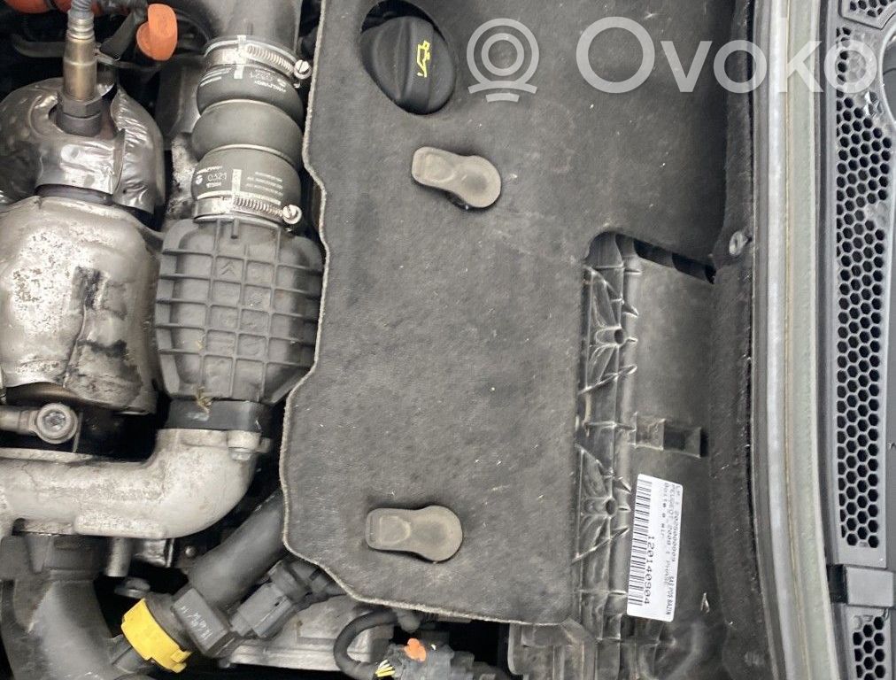 Motor   0135SW