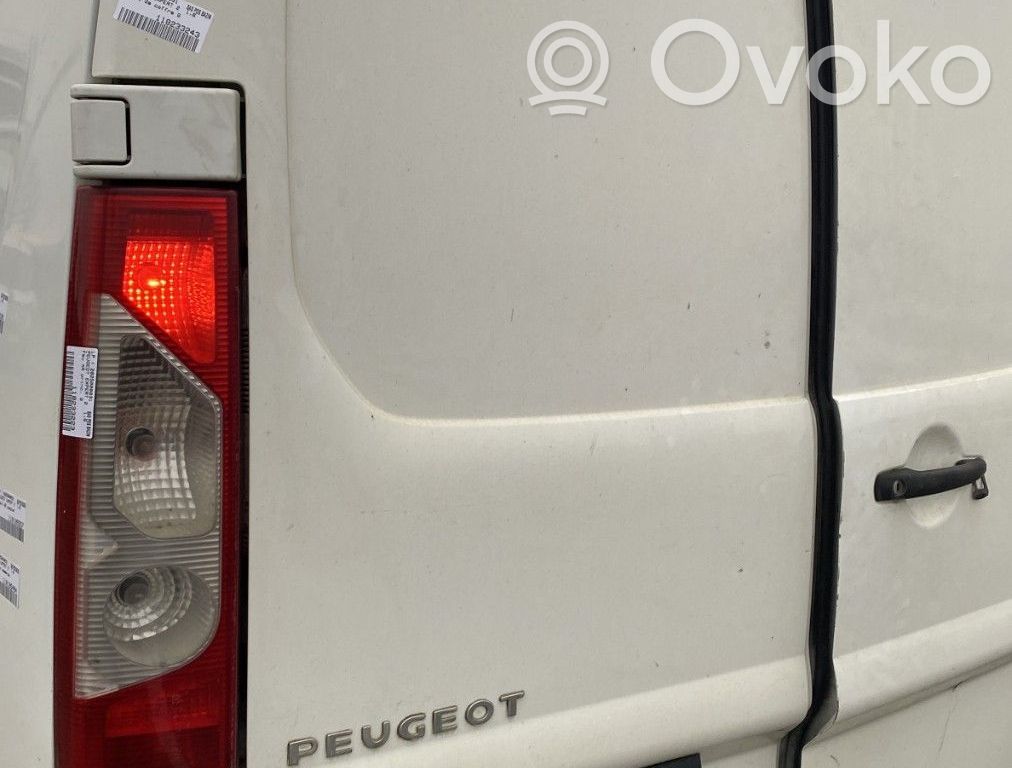Peugeot Expert Ușă spate van 