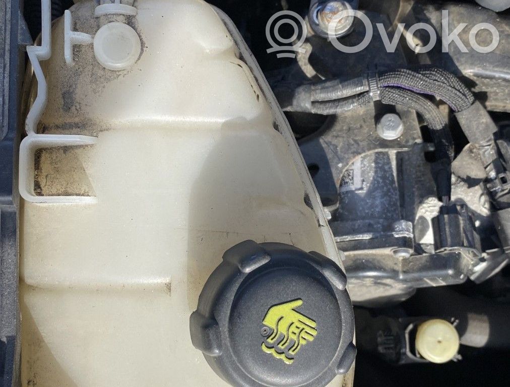 Renault Kangoo II Bușon vas expansiune 