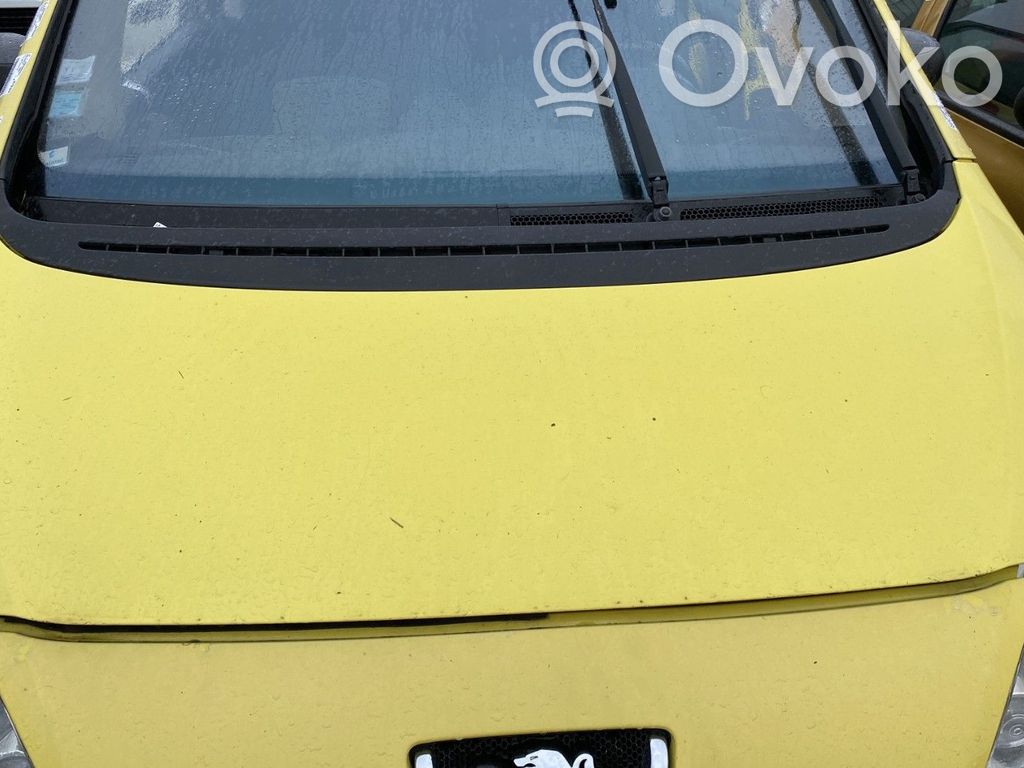 Peugeot 1007 Vano motore/cofano 