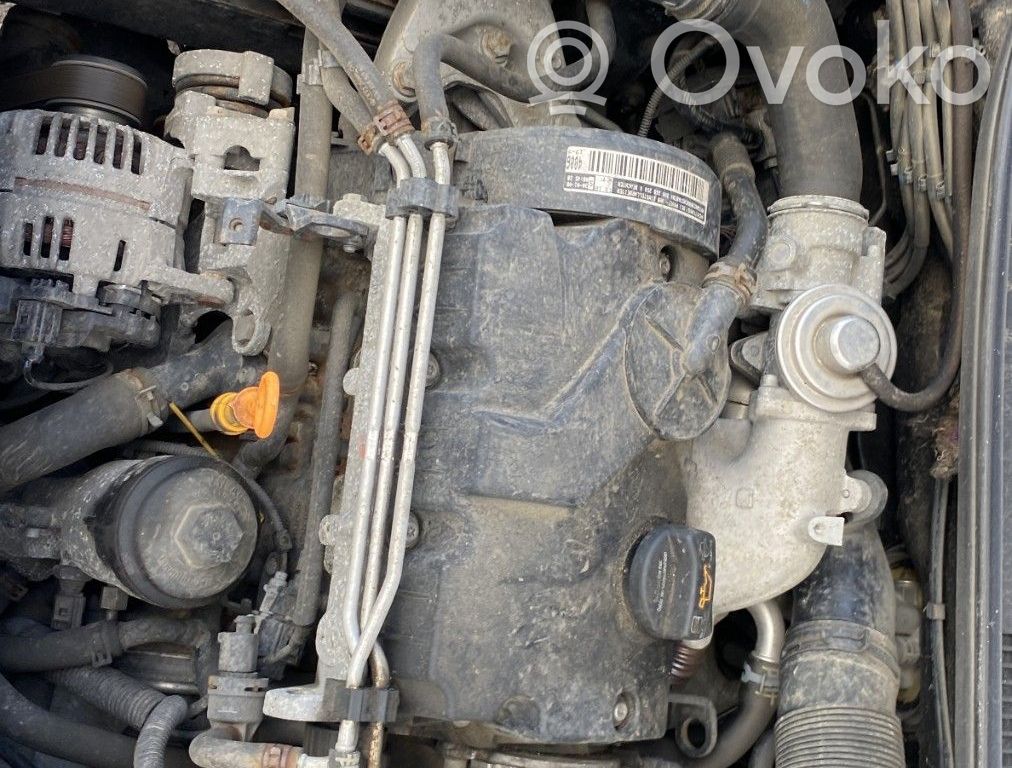 Seat Ibiza III (6L) Motor 