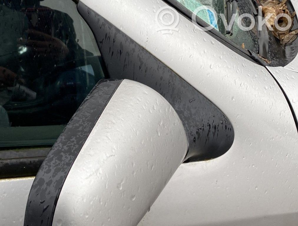 Citroen Xsara Oglindă exterioară manuală 