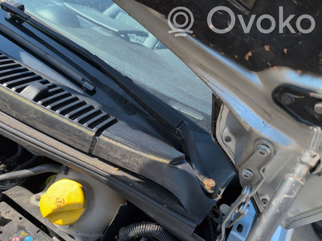 Ford Galaxy Apărătoare ștergătoare 