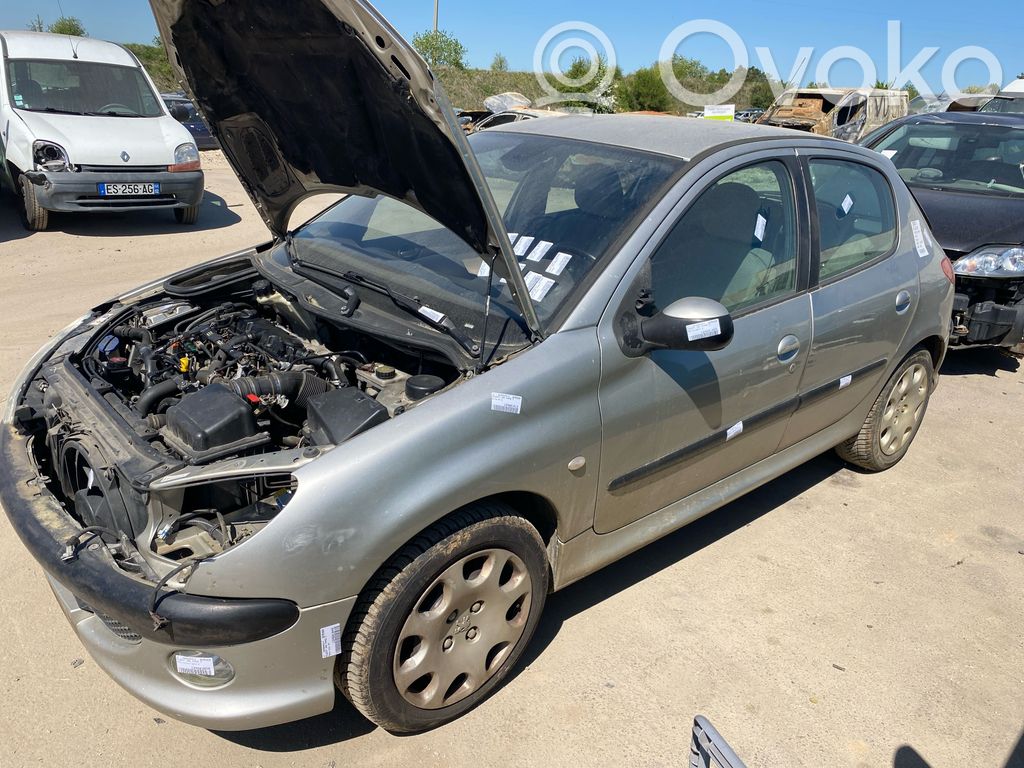 Peugeot 206 Steering rack 