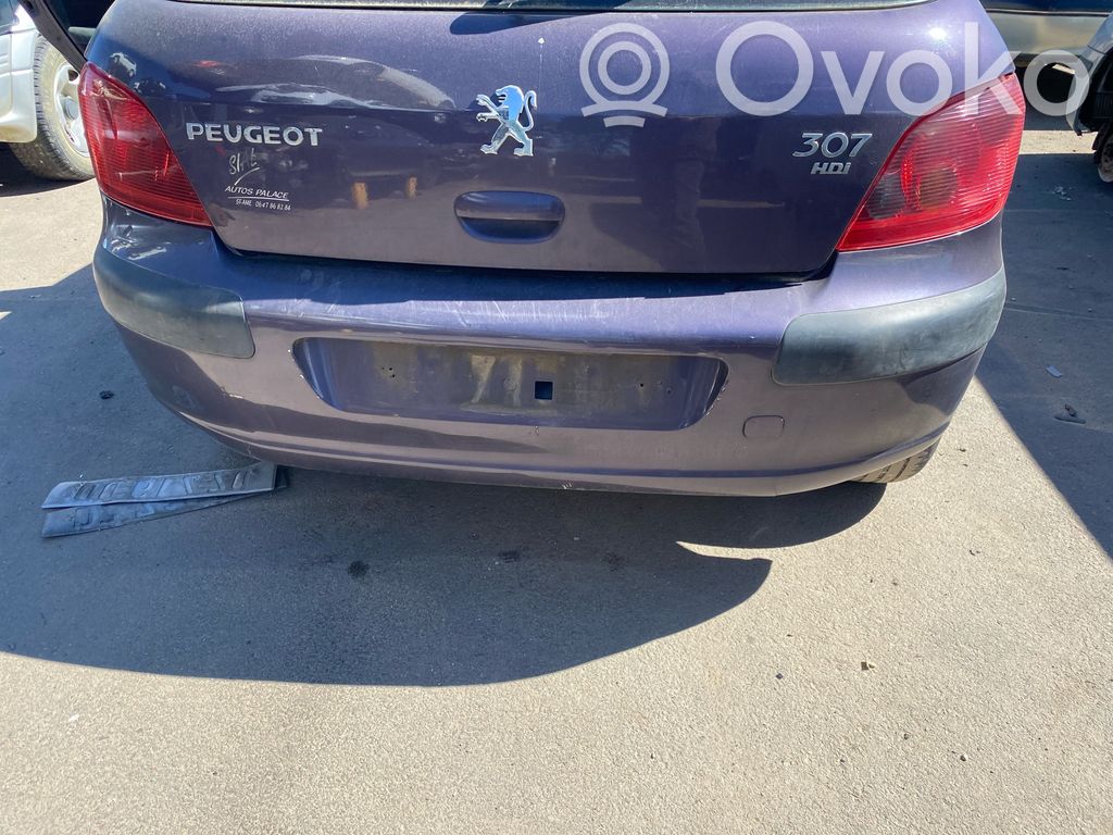 Peugeot 307 Bamperis 