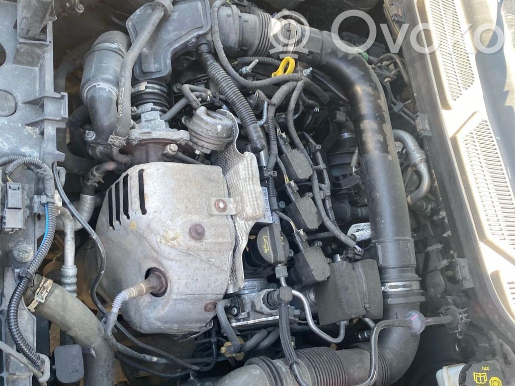 Ford Ecosport Variklis 