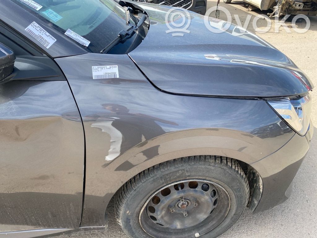 Peugeot 208 II Kotflügel 