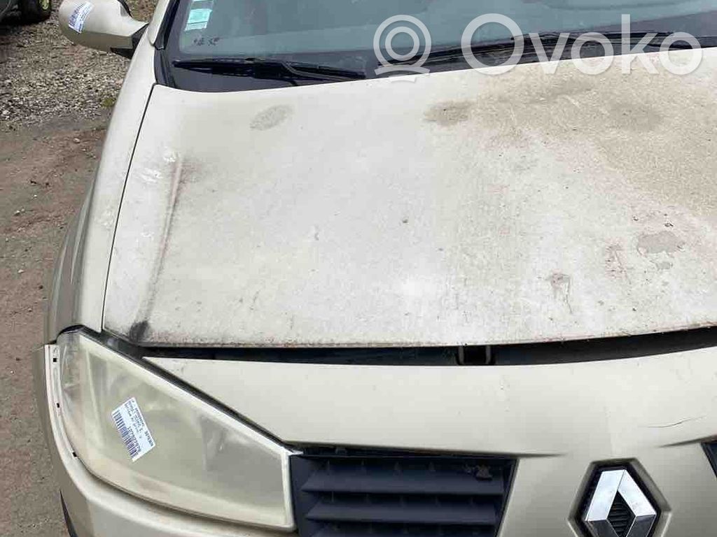 Motorhaube   7751476151